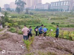 方便办事群众停车 金凤老场镇新增351个生态停车