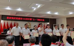 党建引领促发展  成绩优秀获表彰